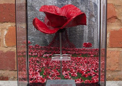 Tower of London Poppy in acrylic box